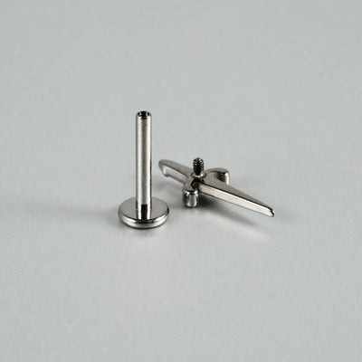 G23 Titanium Crown Zircon Inlay Lip Rings and Ear Studs
