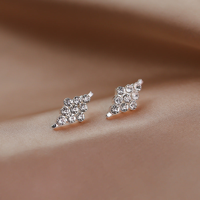 Korean Animal Fruit Shape Earrings for Women Jewelry Wholesale