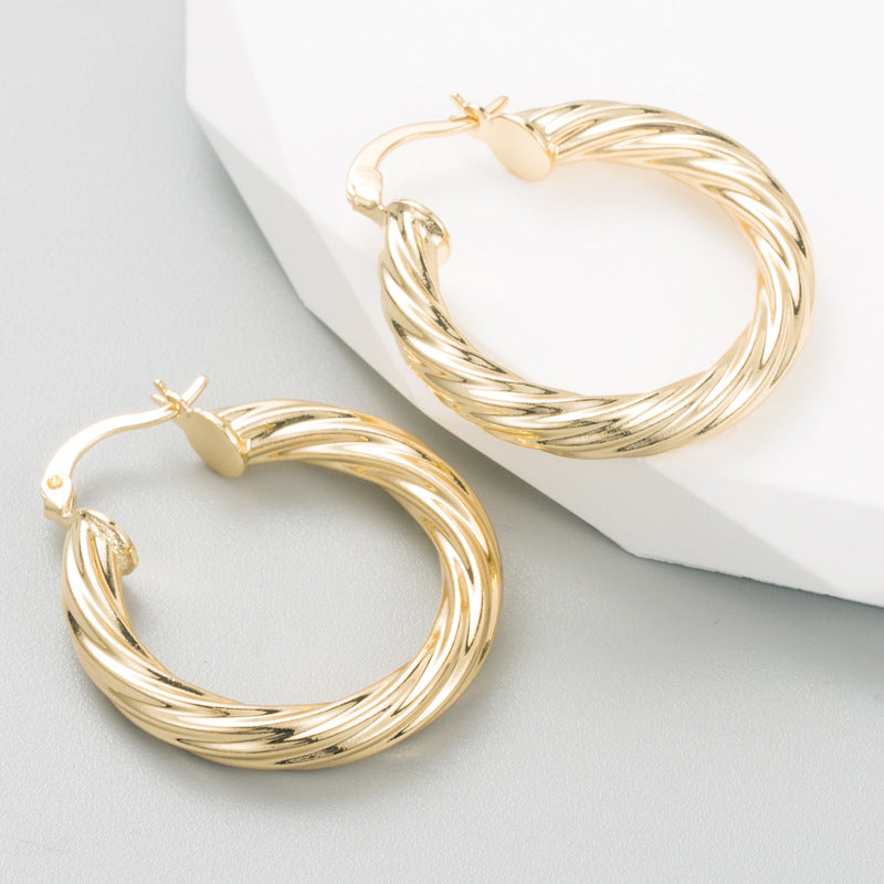 Geometric Titanium Steel Hoop Earrings with Gold Plating
