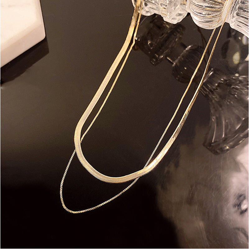 Simple Minimalist Double-Layer Snake Chain Titanium Steel Necklace