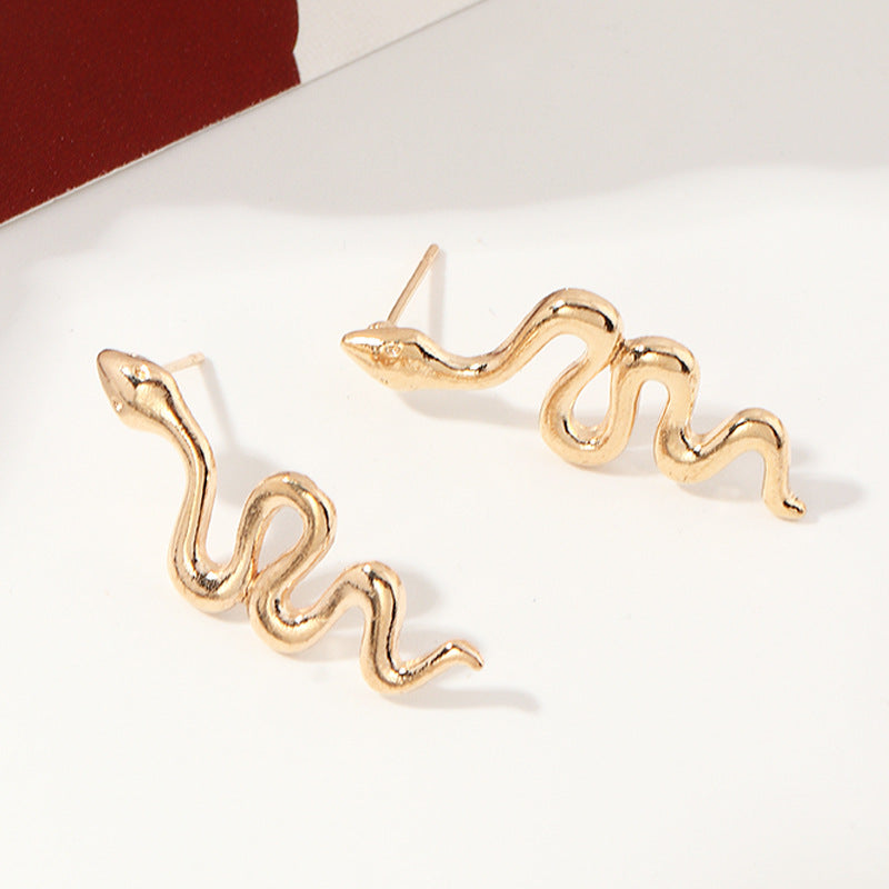 Fashion Creative Metal Snake Hoop Earrings