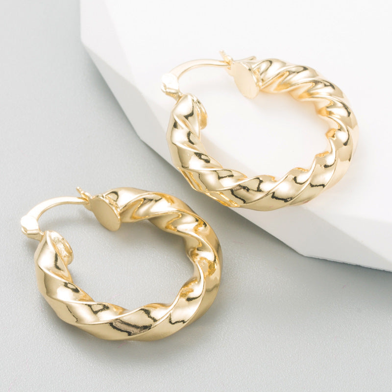 Geometric Titanium Steel Hoop Earrings with Gold Plating