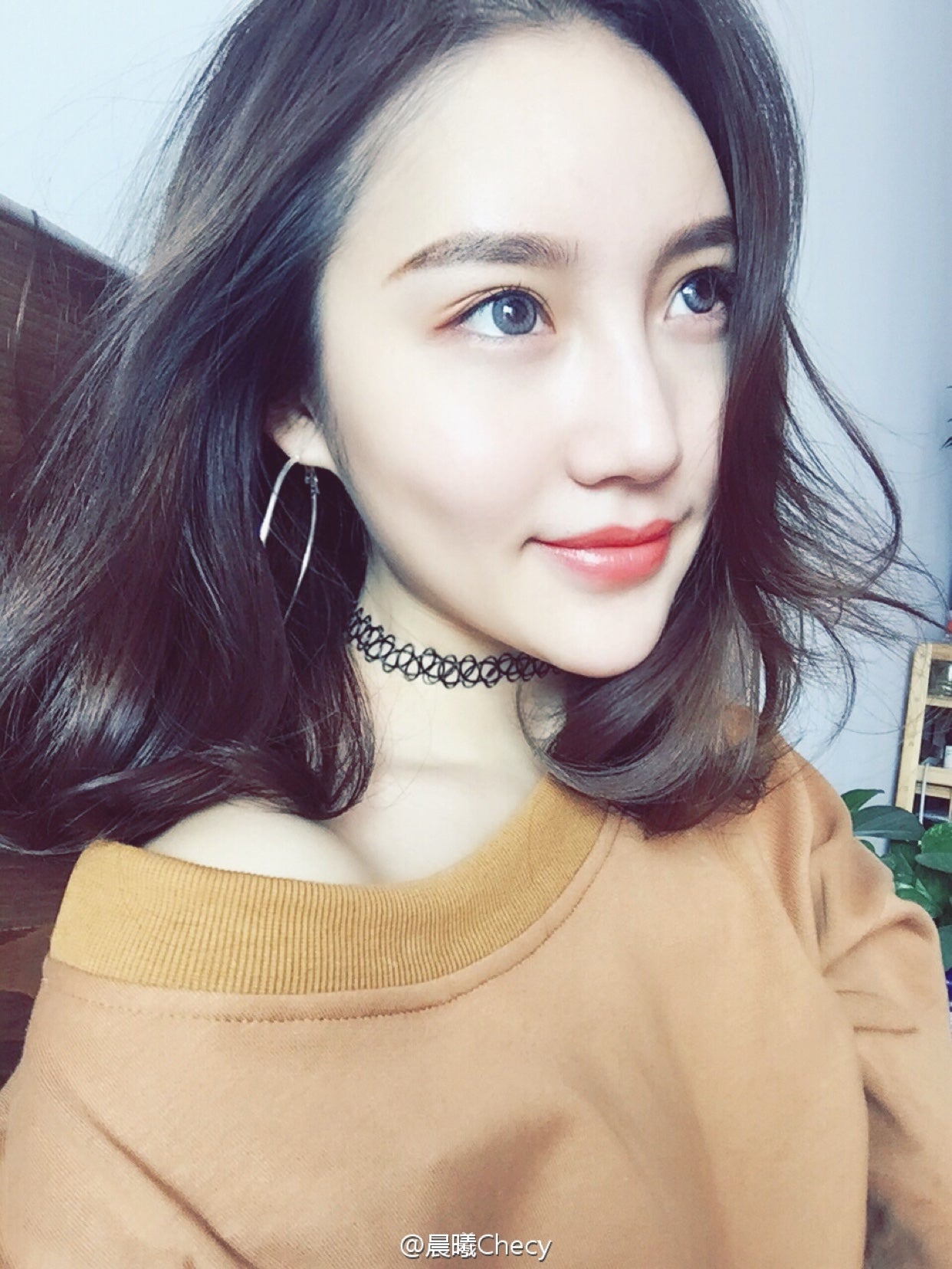 Fashion Geometric Hypoallergenic Silver Hoop Earrings