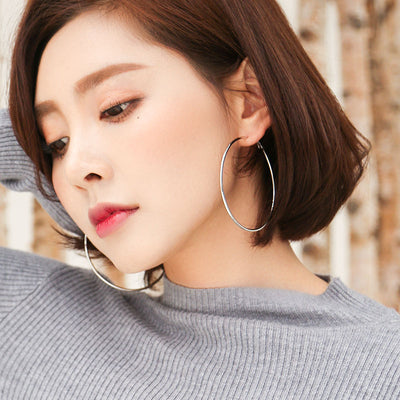 Fashion Geometric Hypoallergenic Silver Hoop Earrings