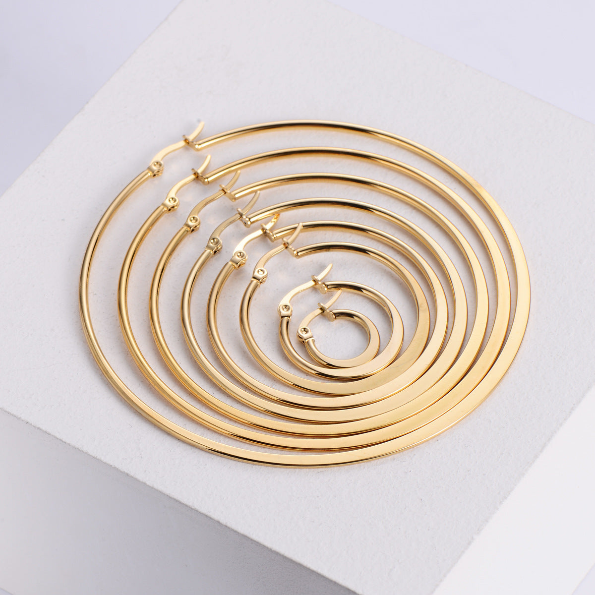 Simple Style Stainless Steel Hoop Earrings for Women