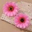 1 Pair Colorful Daisy Flower Drop Earrings