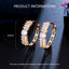 1 Pair Korean Style Double Row Zircon Crystal Inlay 14K Gold Plated Hoop Earrings