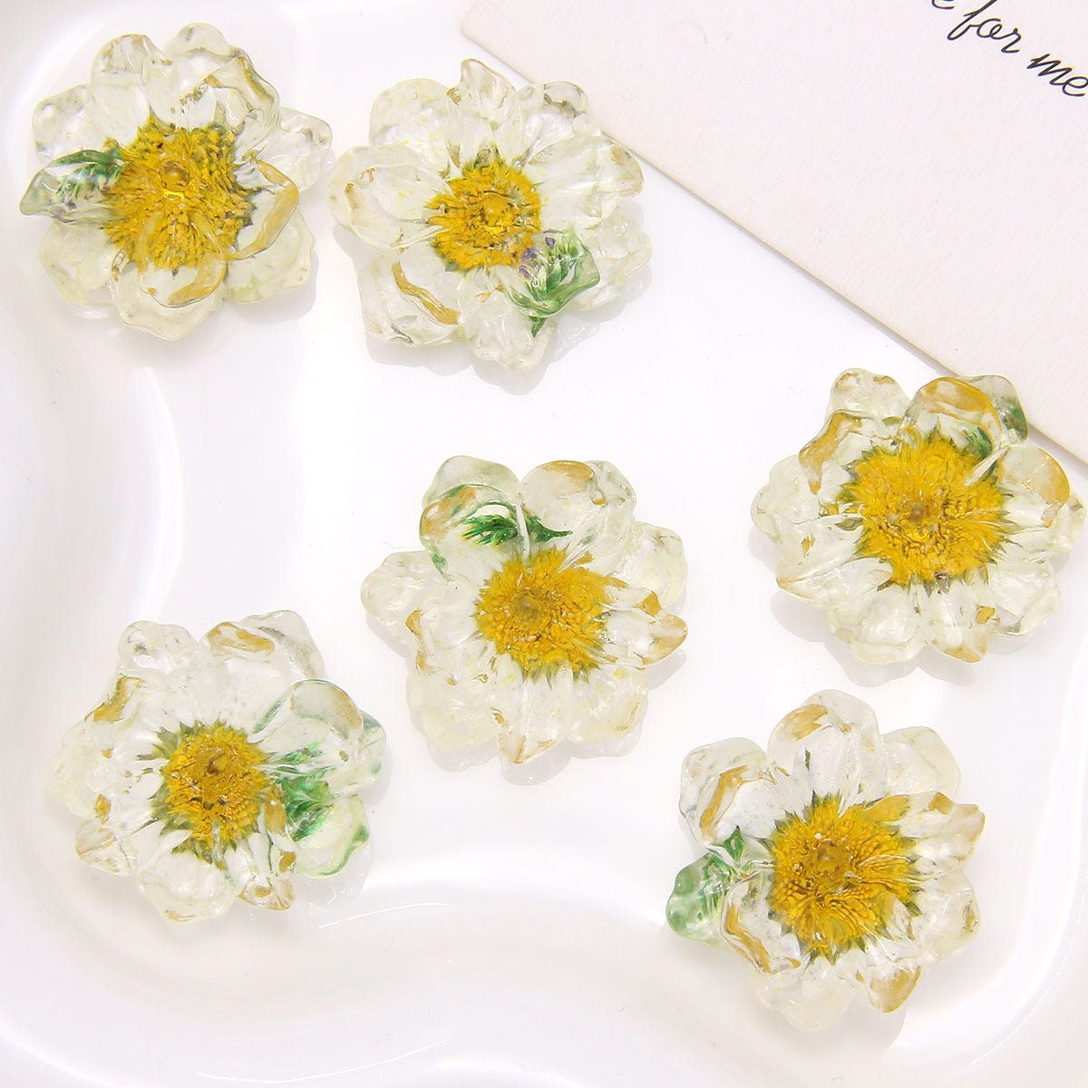 Dried Flower Resin DIY Accessories - 25x25mm Transparent Chrysanthemum Embellishments