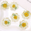 Dried Flower Resin DIY Accessories - 25x25mm Transparent Chrysanthemum Embellishments