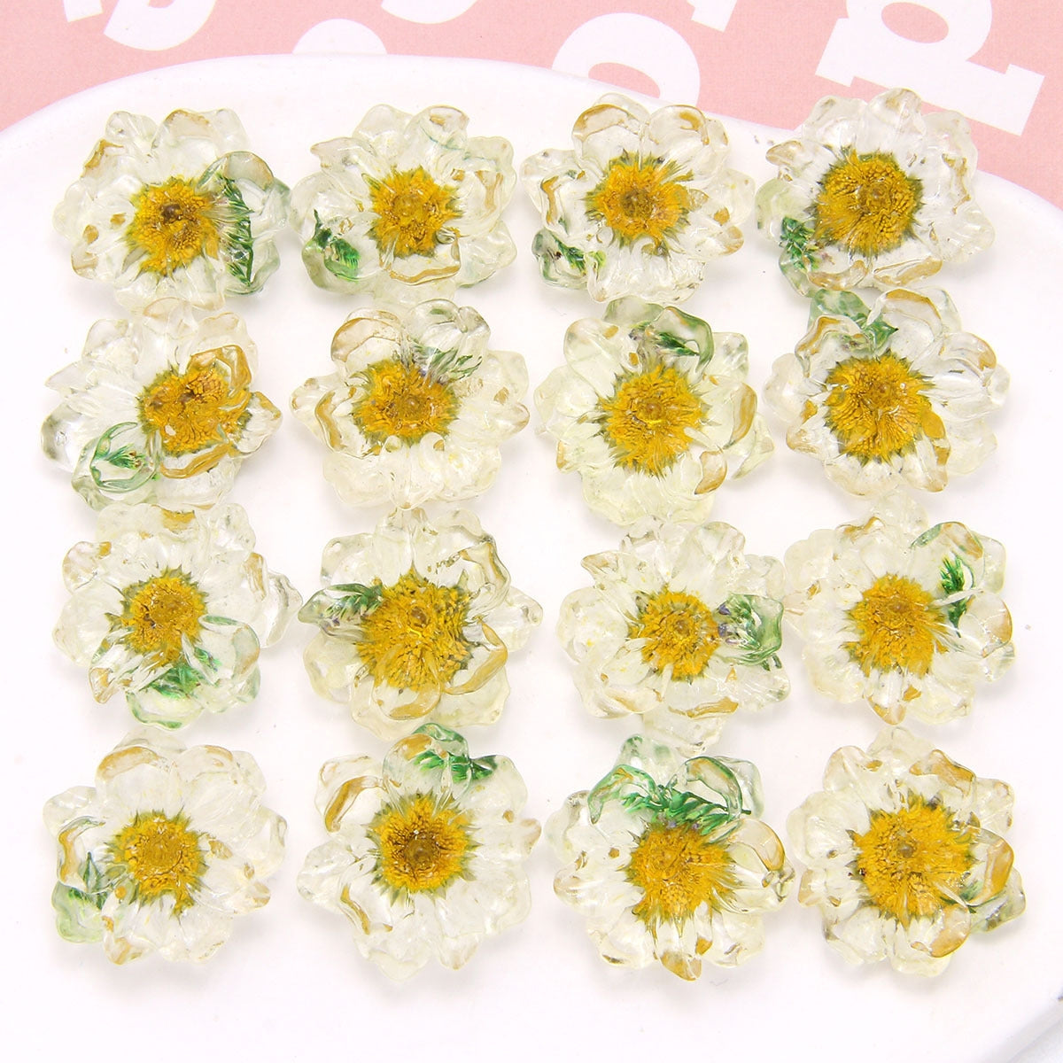 Dried Flower Resin DIY Accessories - 25x25mm Transparent Chrysanthemum Embellishments