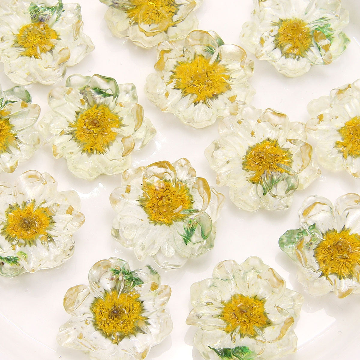 Dried Flower Resin DIY Accessories - 25x25mm Transparent Chrysanthemum Embellishments