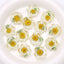 Dried Flower Resin DIY Accessories - 25x25mm Transparent Chrysanthemum Embellishments
