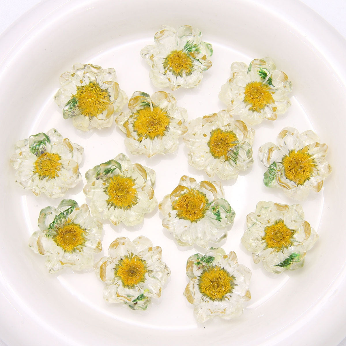 Dried Flower Resin DIY Accessories - 25x25mm Transparent Chrysanthemum Embellishments