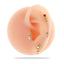 Heart & Butterfly Zircon Inlay Stainless Steel Cartilage Stud Earrings