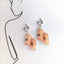 Cartoon Geometric Acrylic Sushi Donut Earrings