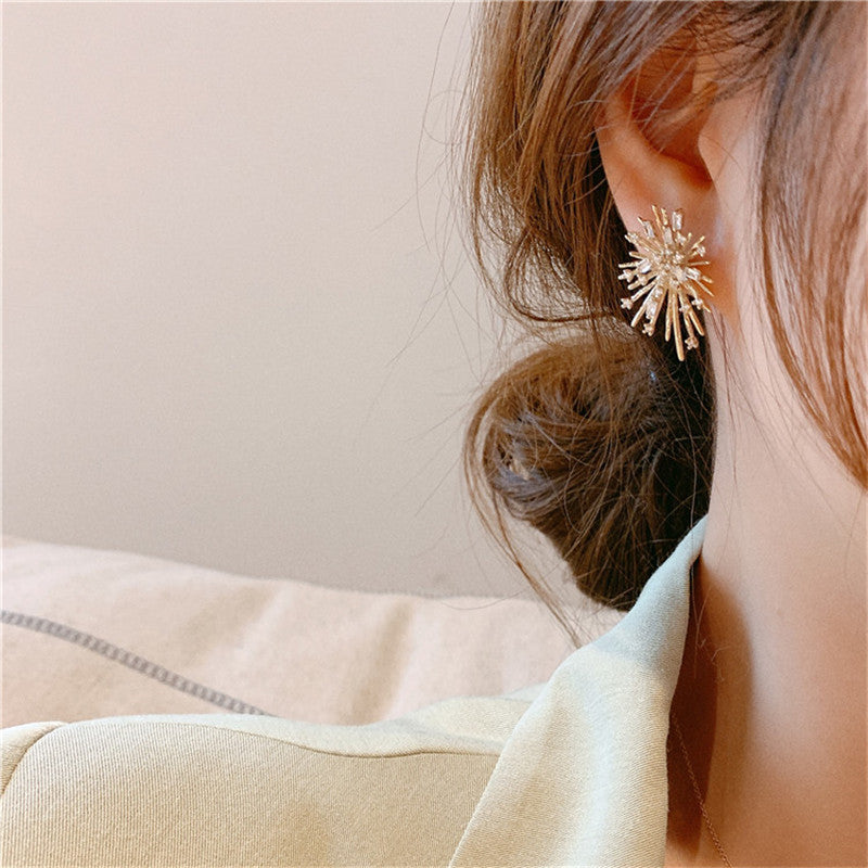 Firework Zircon Crystal Stud Earrings for Women S925 Silver Needle