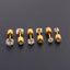 3 Pairs Basic Simple Style Geometric Plating 304 Stainless Steel Ear Studs