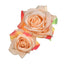 Romantic Double Rose Fabric Hair Clip