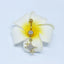 Sunflower Starry Sky Zircon Moon Belly Ring - Stainless Steel & Gold Plated Navel Jewelry