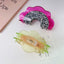 Elegant Streetwear Fruit Acetate Hair Claw Clips - Dragon Fruit & Cantaloupe Design