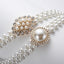 Elegant Butterfly Imitation Pearl Alloy Women's Chain Belt