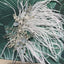 Fairy Geometric Alloy Feather Hair Accessory with Crystal Embellishment