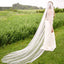 Elegant White Long Veil with Large Train for Wedding Accessories