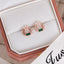 1 Pair Elegant Flower Inlay Copper Zircon Stud Earrings