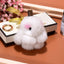 Simple Rabbit Fur Plush Keychain Accessory