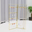 Simple Style Solid Color Metal Jewelry Display Rack