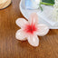 Simple Retro Floral Resin Hair Claw Clip