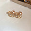 1 Pair Vintage Red Rose Zircon Alloy Drop Earrings