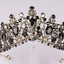 Women's Elegant Crystal Rhinestone Bridal Tiara Headband