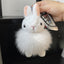 Simple Rabbit Plush Keychain with Faux Fur Pom Pom Charm