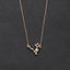 Starry Sky Zodiac Constellation Pendant Necklace