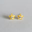 Cartoon Heart & Star Resin Epoxy 925 Silver Stud Earrings for Women