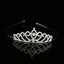 Princess Rhinestone Crown Alloy Headband for Children