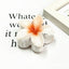 Women's Gradient Flower Hair Claw Clip - Korean Style Colorful Plastic Hair Accessory