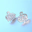 1 Pair Elegant Swan Gradient Zircon White Gold Plated Stud Earrings