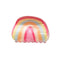 Sweet Fruit Rainbow Acrylic Hair Claw Clip