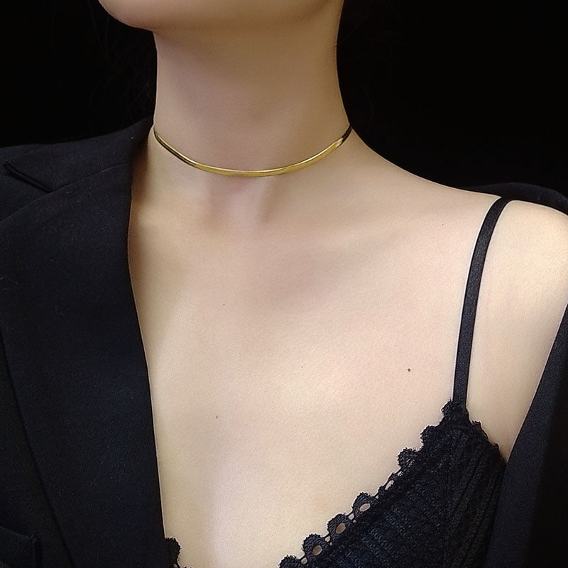 Fashion Blade Chain Clavicle Necklace Titanium Steel Material Non-fading Snake Bone Chain Chain