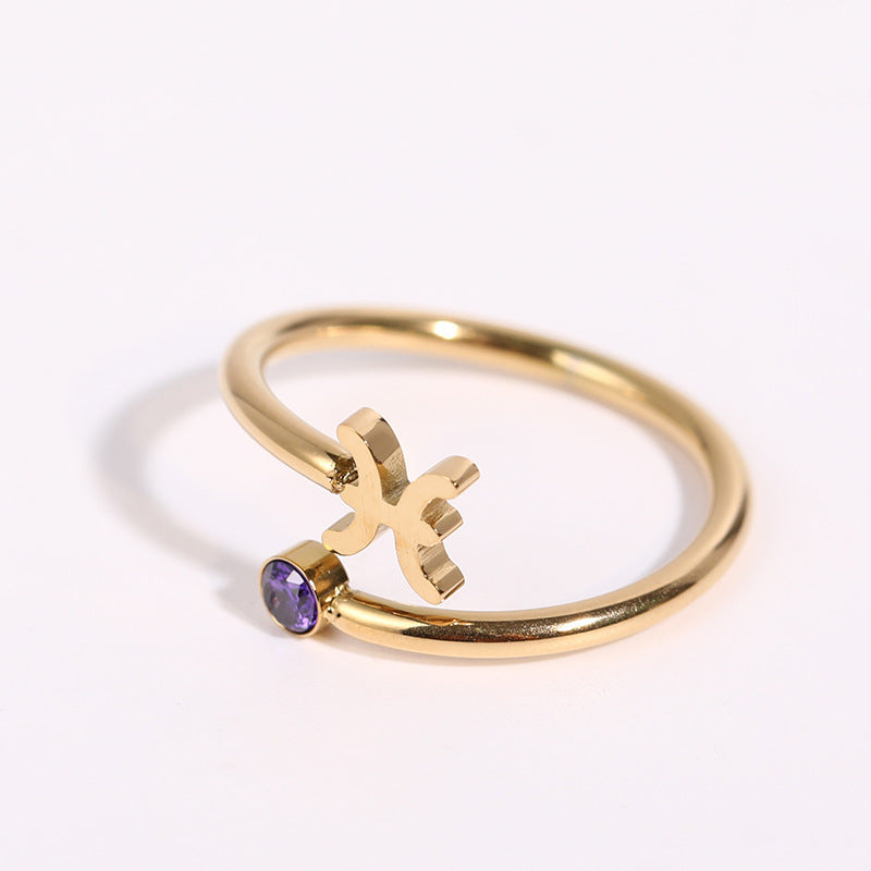 Simple Constellation Symbol Gold Plated Zircon Open Ring Set