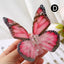 Women's Elegant Butterfly Acetate Hair Claw Clip