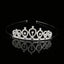 Princess Rhinestone Crown Alloy Headband for Children