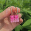 Resin Mini Color Gradient Bear Pendant Earrings