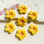 10 PCS Resin Flower DIY Accessories for Crafts and Decorations