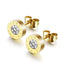 Simple Style Round Stainless Steel Zircon Ear Studs 1 Pair