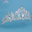 Vintage Crystal Rhinestone Bridal Crown and Veil Hair Ornament