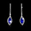 Royal Blue Rhinestone Horse Eye Earrings and Necklace Set