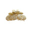 Gradient Acetate Flower Hair Claw - Fashionable French Hairpin 2024